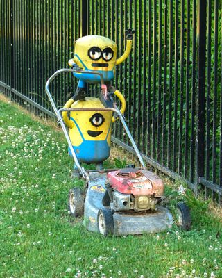 Minions House