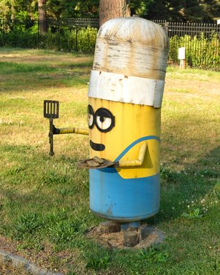 Minions House
