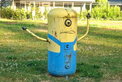 Minions House