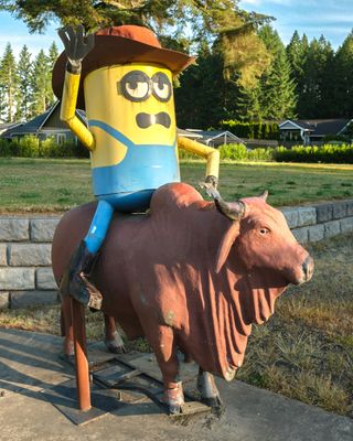 Minions House