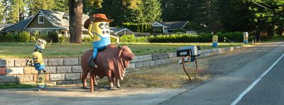 Minions House