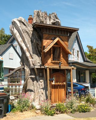Raccoon Lodge