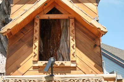 Raccoon Lodge