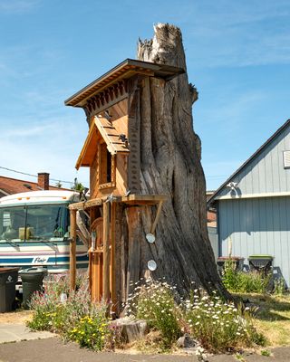 Raccoon Lodge