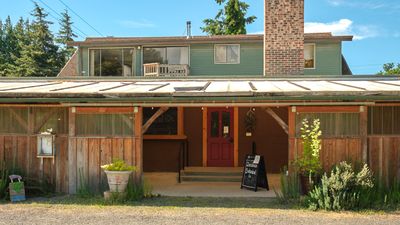 Dandelion Botanical Company