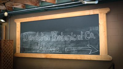 Dandelion Botanical Company