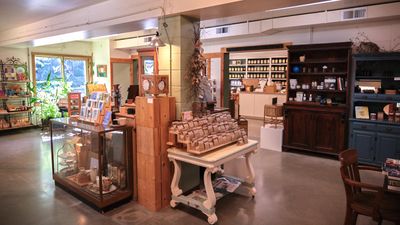 Dandelion Botanical Company