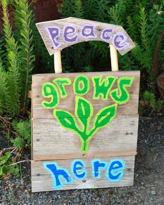 Dandelion Botanical Company