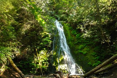 Madison Creek Falls