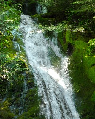 Madison Creek Falls