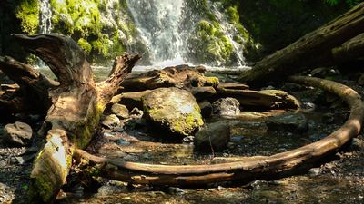 Madison Creek Falls