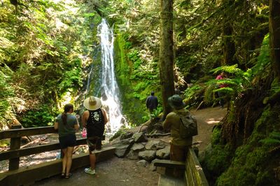 Madison Creek Falls