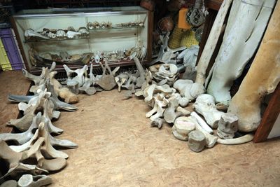 John's Beachcombing Museum