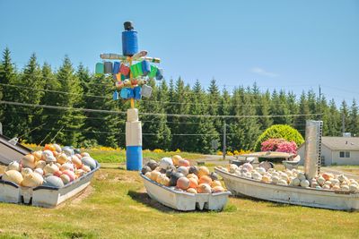 John's Beachcombing Museum