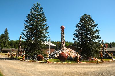 John's Beachcombing Museum