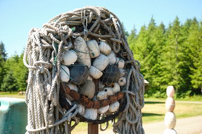John's Beachcombing Museum