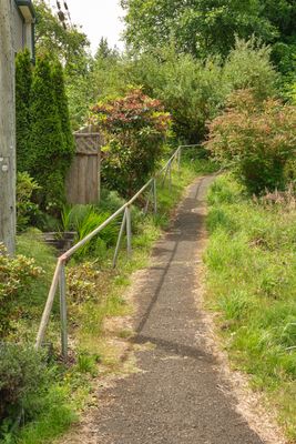 Goonie Trails