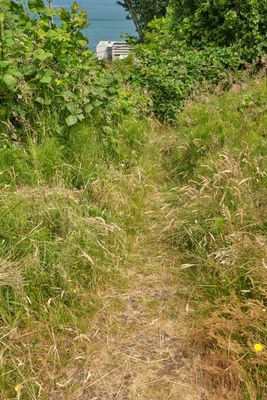 Goonie Trails