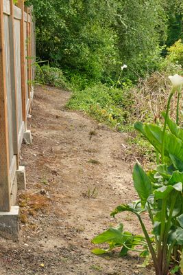 Goonie Trails