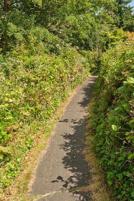 Goonie Trails