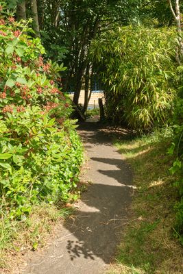 Goonie Trails