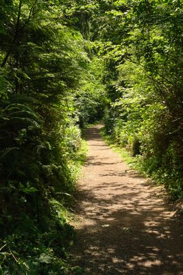 Goonie Trails