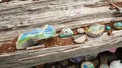 Painted Rock Beach