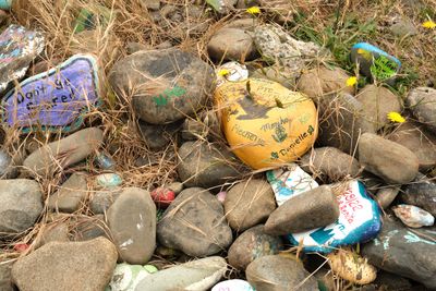 Painted Rock Beach