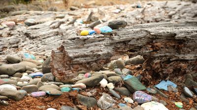 Painted Rock Beach