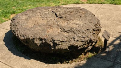 Oswego Furnace and Salamanders