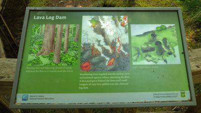 Trail of Two Forests