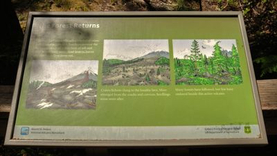 Trail of Two Forests