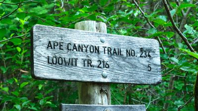 Ape Canyon