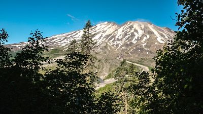 Ape Canyon