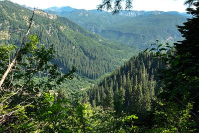 Ape Canyon