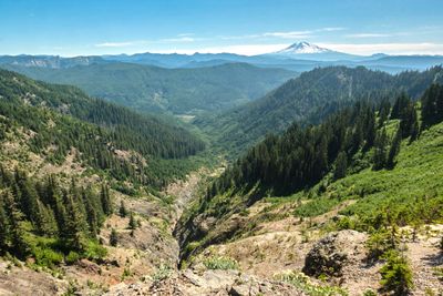 Ape Canyon