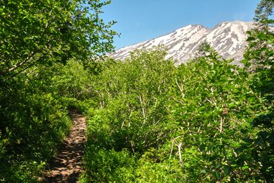 Ape Canyon