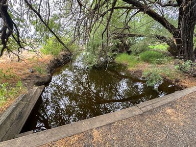 Palouse to Cascades Trail