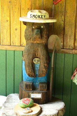Back Yard Fire Lookout Tower & Museum