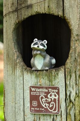 Back Yard Fire Lookout Tower & Museum