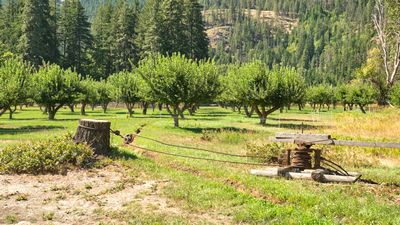 Stehekin
