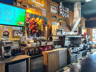 Seor Frogs - Dive Bar