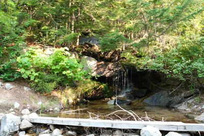 Lionhead Natural Water Slides