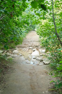 Lionhead Natural Water Slides
