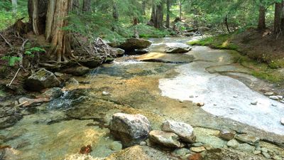 Lionhead Natural Water Slides