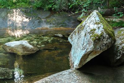 Lionhead Natural Water Slides
