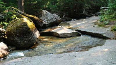 Lionhead Natural Water Slides