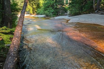 Lionhead Natural Water Slides