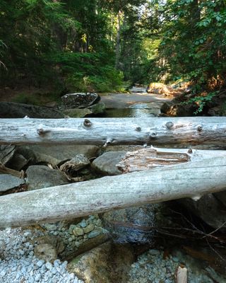 Lionhead Natural Water Slides