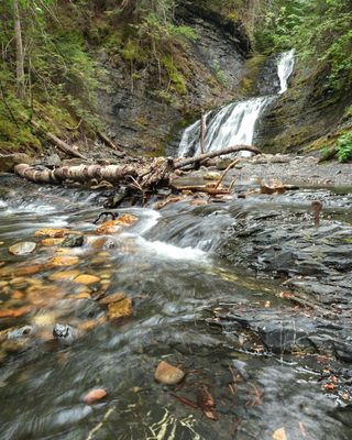 Sweet Creek Falls